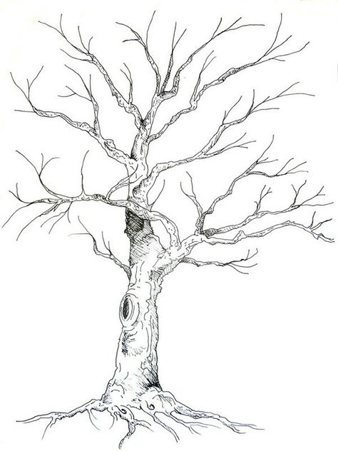 Drawing Of A Tree, Guest Book Tree, Tree Drawings Pencil, Tree Sketches, White Drawing, Leaf Drawing, Tree Illustration, Pencil Art Drawings, Tree Drawing