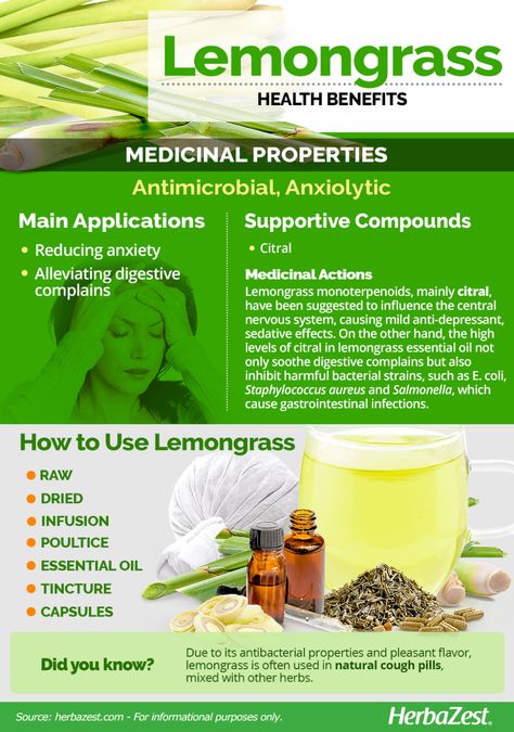 Lemongrass Benefits, Herbal Shop, Lemongrass Plant, Male Fertility, Medical Facts, Herbal Apothecary, Lemongrass Essential Oil, Herbs For Health, Medicinal Herbs