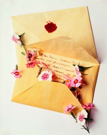 love letters Snail Mail Inspiration, Pen Pal Letters, Piece Of Paper, My Funny Valentine, Flower Letters, Addressing Envelopes, Snail Mail, Happy Mail, Mail Art