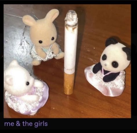 puff puff pass bitchess Family Meme, Calico Critters Families, Sonny Angel, Sylvanian Families, Cute Memes, Just Girl Things, Just Girly Things, Reaction Pictures, Mood Pics