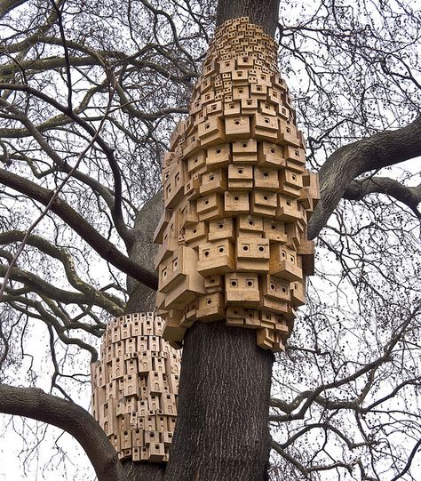 Bird Box City - Islington - View 2 by Myopic Fish, via Flickr Bird Boxes Ideas, Box City, Pallet Picture Frames, Bird Tables, Bee Hotel, Bird House Feeder, Bird Box, Street Trees, Birdhouse Designs