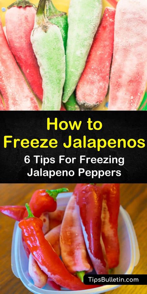 Can You Freeze Jalapenos Whole, Jalapeno Freezing, Can You Freeze Jalapeno Peppers, Uses For Jalapeno Peppers, Recipes Using Jalapeno Peppers, Freeze Jalapenos How To, Frozen Jalapeno Recipes, Freezing Jalapeños, How To Freeze Jalapeno Peppers