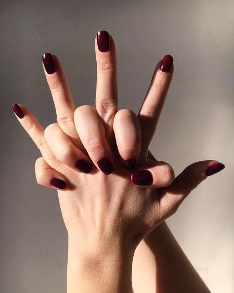 power to your fingertips with gitti no_03, an intense dark red. these cherry red nails looks so yummy. Cherry Red Nails, Nails Looks, Colors Inspiration, So Yummy, Cherry Red, Red Nails, Color Inspiration, Vitamin C, Dark Red