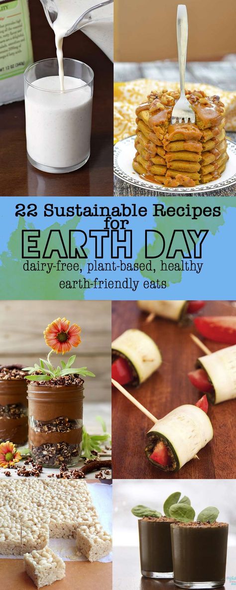 Sustainable Recipes for Earth Day and Every Day - dairy-free, plant-based, healthy and earth-friendly eats Earth Day Breakfast Ideas, Earth Day Drinks, Earth Day Dinner Ideas, Sustainable Recipes, Grilled Tofu Marinade, Earth Day Recipes, Earth Day Food Ideas, Earth Day Food, Sustainable Eating