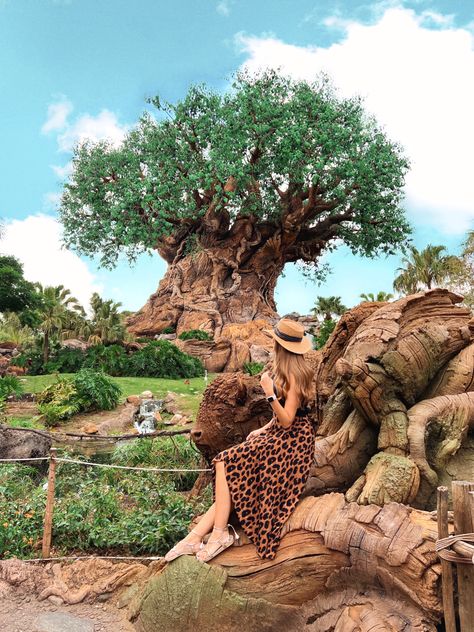 Photo ideas for disney world - Animal kingdom spots. Walt Disney world, disney's animal kingdom, animal kingdom tips, disney world tips,disney moments, disney's tree of life, tree of life animal kingdom, ideas foto animal kigdom, foto árvore da vida, look animal kingdom, outfit animal kingdom. Disney Animal Kingdom Picture Ideas, Disney Animal Kingdom Photo Ideas, Animal Kingdom Photo Spots, Disney Park Photo Ideas, Magic Kingdom Picture Ideas, Walt Disney World Photo Ideas, Animal Kingdom Photo Ideas, Animal Kingdom Picture Ideas, Animal Kingdom Aesthetic