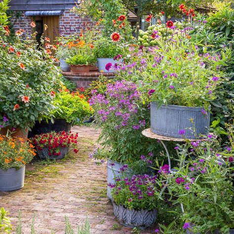 Sarah Raven at Thyme: Magnificent Pots — Thyme Small Productive Garden, Kitchen Garden Plants, Plants For Small Gardens, Garden Edging Ideas, Flower Seedlings, Productive Garden, Plants And Gardening, Sarah Raven, Perennial Bulbs