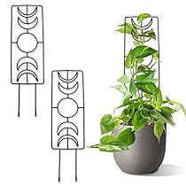 Small Garden Trellis, Indoor Climbing Plants, Pot Trellis, Houseplant Trellis, Indoor Plant Trellis, Small Trellis, Wire Trellis, Plant Bracket, Plant Trellis