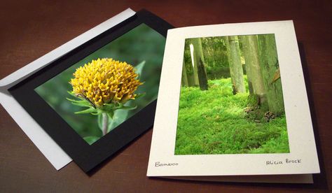 Make money doing what you love by selling greeting cards of your nature photography. See why blank photo insert cards are an artistic yet economical option. Photo Insert Cards, Photo Note Cards, Jobs In Art, Blank Photo, Selling Photos, Photography Jobs, Card Photography, Jobs Online, Photography Words