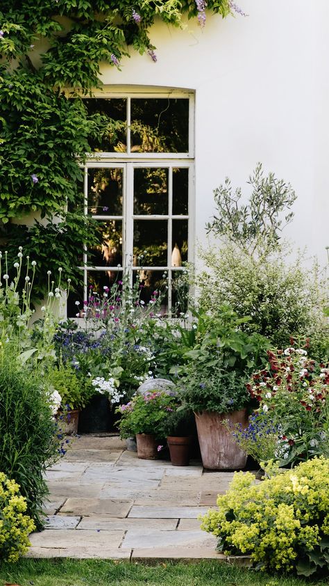 How to plant window boxes | House & Garden Circular Lawn, London Garden, Garden Architecture, Have Inspiration, City Garden, Flowers Wallpaper, Plants And Flowers, Courtyard Garden, House Garden