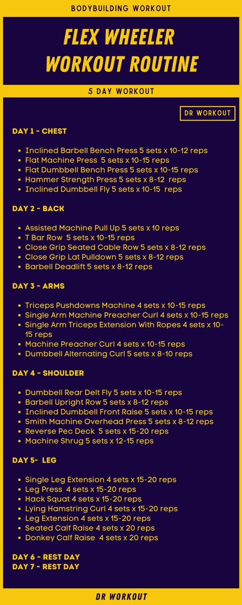 Flex Wheeler Workout Routine Flex Wheeler Bodybuilder Wallpaper, Frank Zane Workout Routine, Warrior Babe, Dr Workout, Strength Workout Plan, Workout Charts, Flex Wheeler, Sandbag Workout, Bodybuilding Routines