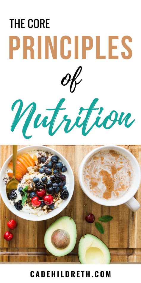 Nutrition is essential to all types of health and wellness, from physical to emotional. Unfortunately, you can’t out-train a bad diet, which is why it’s essential to learn the principles of nutrition.  While many people make nutrition out to be complicated, the core principles of nutrition are simple and learnable. Improve Nutrition, Bad Diet, Best Fat Burning Foods, Nutrition Guide, Proper Nutrition, Nutrition Plans, Healthy Nutrition, Health Diet, Best Diets