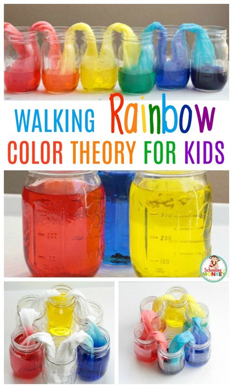 Kids will love making their very own walking rainbow from just three colors. This amazing walking rainbow experiment is the most fun walking water experiment ever! You'll have a blast with the rainbow walking water. #scienceexperiment #science #stemactivities #science Walking Rainbow Experiment, Rainbow Science Experiment, Summer Science Experiments, Milk Science Experiment, Rainbow Science, Water Science Experiments, Walking Rainbow, Rainbow Experiment, Walking Water