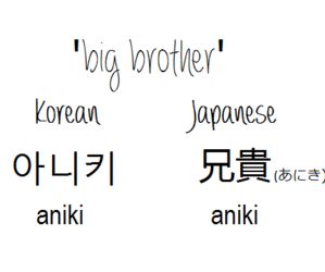 Same Brother In Japanese, Languages Of The World, All Languages, World Languages, Korean Japanese, Big Brother, We Heart It, Lost, Like Button