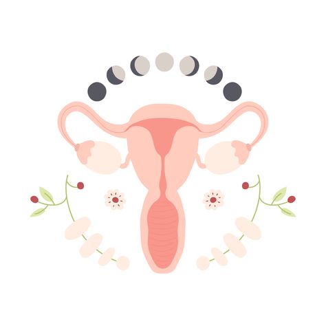 Menstrual Cycle Aesthetic, Inner Seasons, Menstrual Cycle Phases, Early Detection Saves Lives, Energy Activities, Female Reproductive System, Moon Cycle, Menstrual Health, Relaxing Activities