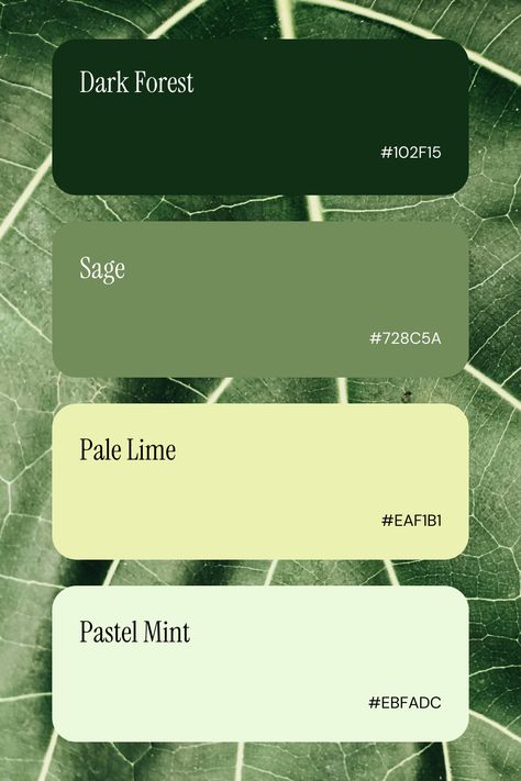 Business Color Palettes: Inspiration for Branding &amp; Web Design Green Tone Palette, Nature Green Color Palette, Natural Branding Design Color Palettes, Brand Identity Colors Green, Nature Palette Color, Natural Green Color Palette, Eco Friendly Color Palette, Sustainable Color Palette, Matcha Color Palette