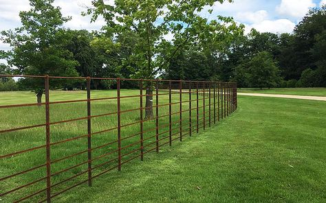 Deer Fencing | Britannia Estate Fencing Estate Fencing, Deer Fencing, Metal Garden Gates, Paint Charts, Deer Fence, Driveway Entrance, Fence Screening, Fencing & Gates, Royal Park