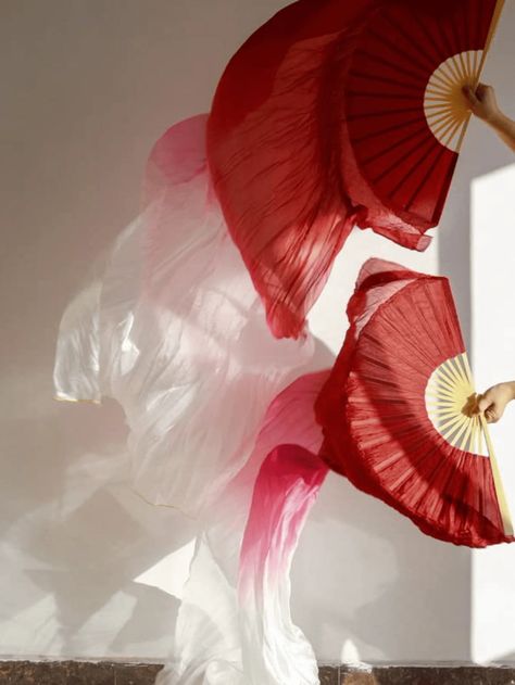 Silk Fans, Silk Veil, Fan Dance, Dance Accessories, Grad Pics, Hair Shows, Electronic Toys, Kids Beachwear, Belly Dance