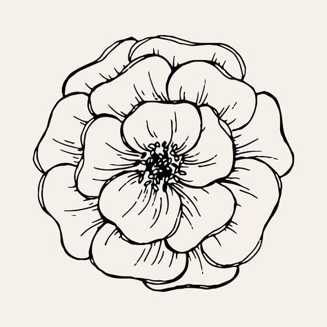 Plump Drawing, Flowers Outline Drawing, Floral Outline Drawing, Flower Outline Drawing, Line Drawn Flowers, Poppy Flower Drawing, Traditional Tattoo Outline, Frida Art, Flower Mural