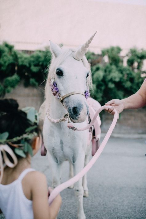 Elegant Unicorn Birthday Party, Boho Unicorn Party, Pony Photoshoot, Horse Theme Birthday Party, Boho Unicorn, Magical Unicorn Birthday Party, Unicorn Birthday Party Ideas, Party Decorations Pink, Party Like Gatsby