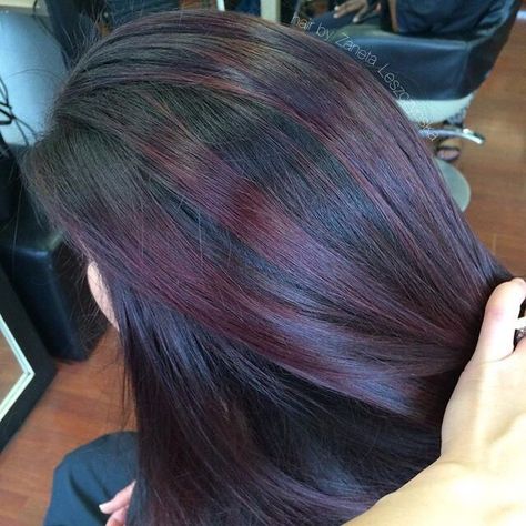 Purple and red plum highlights Plum Highlights On Dark Hair, Plum Balayage Hair, Hair Color On Black Hair, Color On Black Hair, Plum Balayage, Plum Highlights, Plum Hair Color, Hair Color Inspiration, Purple Balayage