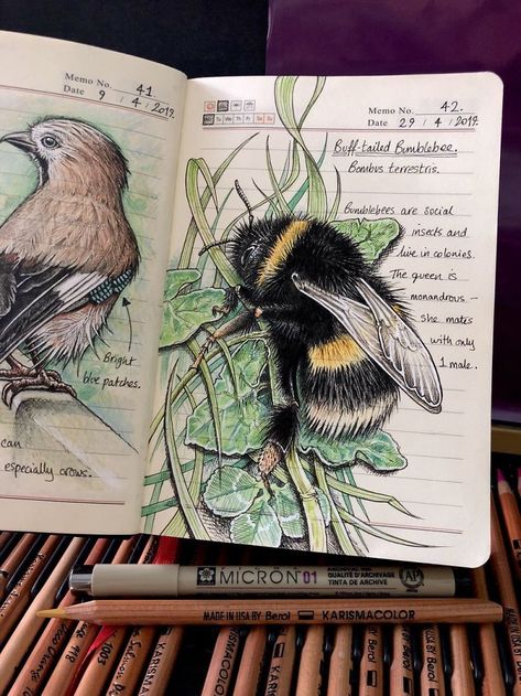 Woman Decides To 'Record' The Things She's Discovering, Starts A Journal To Illustrate The Natural World | Bored Panda Botanical Sketchbook, Field Journal, Nature Sketch, Garden Journal, Sketchbook Art Journal, Nature Drawing, Arte Sketchbook, Sketchbook Inspiration, Nature Journal