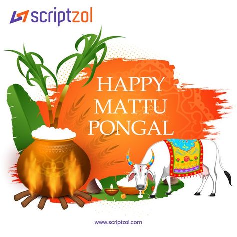 May the sweetness of celebrations of Mattu Pongal is always there to fulfil your life with happiness that lasts forever. Wishing a very Happy Pongal to you.🎉🥳 #HappyPongal #Pongal2023 #HappyMattuPongal #MattuPongal2023 #Celebration #mattu #tamilnadu #pongalopongal #tamilfestival #traditional #sweets #indianfestival #tamilans #happymattupongal #scriptzol #scriptzolteam Happy Mattu Pongal, Mattu Pongal, Pongal Wishes, Pongal Festival, Traditional Sweets, Happy Pongal, Indian Festivals, Tamil Nadu, Very Happy