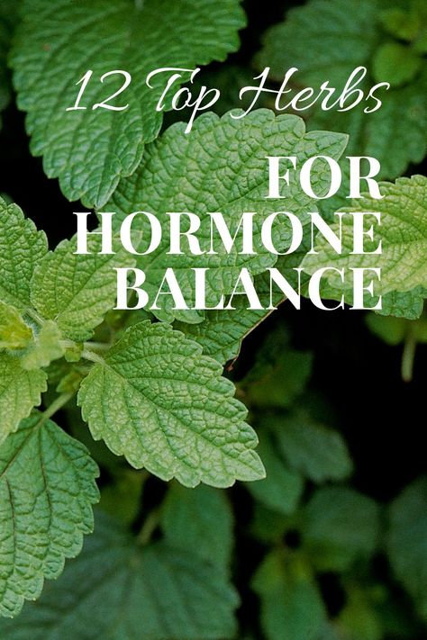 12 Top Herbs for Hormone Balance Best Herbs For Hormone Balance, Natural Remedies For Hormonal Imbalance, Chaste Berry Benefits, Hormone Balance Herbs, Balancing Androgen Hormones, Hormone Balancing Tea Herbs, Naturally Balance Hormones Women Health, Herbs For Ovarian Health, Herbs For Mood Swings