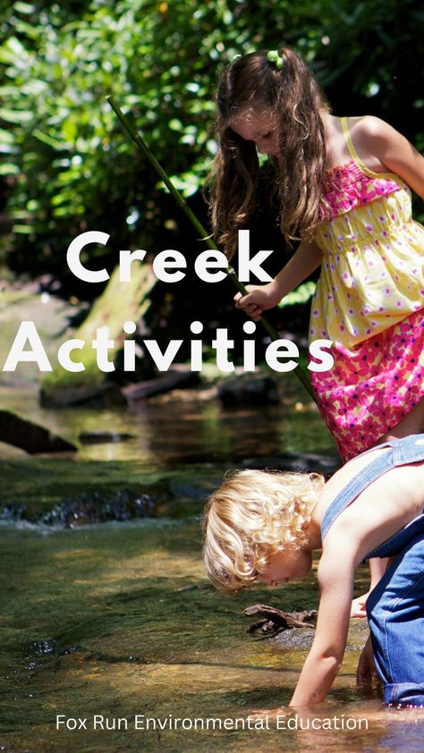 kids in creek Pagan Family, Plant Life Cycles, Environmental Activities, Teach Online, Outside Activities, Plant Life Cycle, Family Worship, Everything Is Connected, Food Web