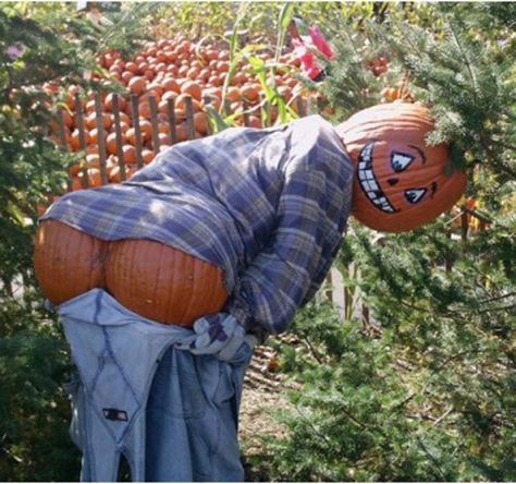 Scarecrows For Garden, Garden Inspired, Autumn Garden, Diy Garden Decor, Funny Pics, Scarecrow, Yard Art, Fall Halloween, Diy Garden