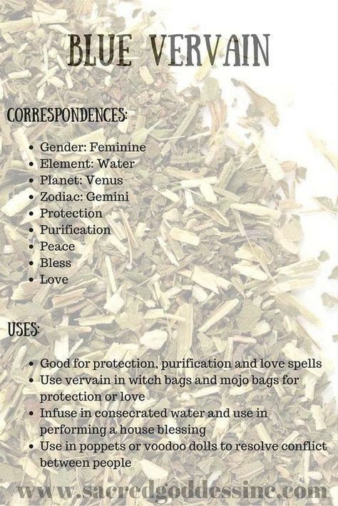 Herb Correspondences, Blue Vervain, Magickal Herbs, Witch Herbs, Creepy Vintage, Witch Garden, Magic Herbs, Natural Kitchen, Magical Herbs