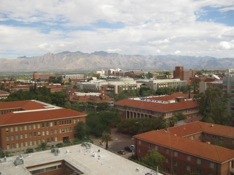 University of Arizona, Tucson. U Of Arizona, University Of Arizona Campus, Mayan Empire, Special Needs Students, The University Of Arizona, First Time Parents, Top Colleges, Best University, College Admission