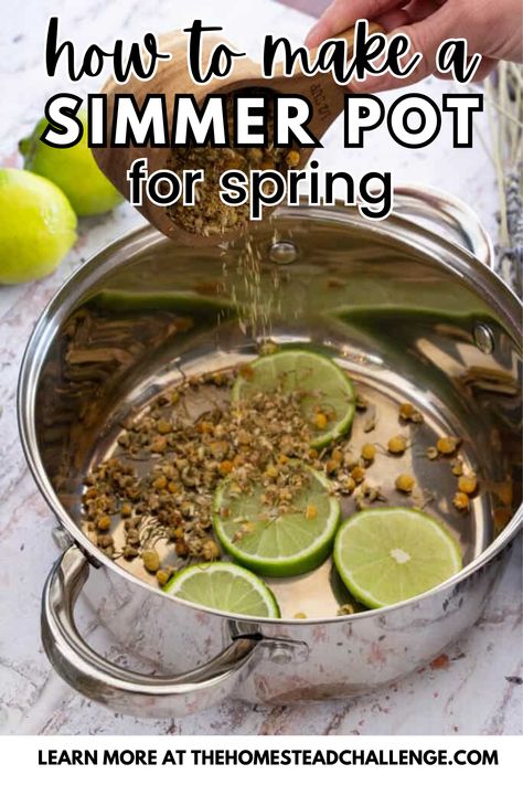 Welcome spring into your home with the delightful aromas of our Simple Spring Floral and Citrus Simmer Pot Recipe! This easy-to-make recipe blends the fresh scents of seasonal flowers with zesty citrus to create a fragrant atmosphere that celebrates the season. Perfect for freshening up your space naturally without chemicals. Whether you're hosting a spring gathering or just enjoying a quiet day at home, this simmer pot is a simple way to infuse your home with the scents of spring. Spring Potpourri Recipes, Spring Simmer Pot Recipes, Spring Simmer Pot, Simmer Pots, Simmer Pot Recipes, Potpourri Recipes, Lavender Recipes, Fresh Scents, Simmer Pot