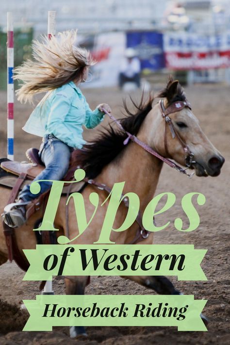 Western Riding Tips, Equestrian Clothes, Horse Competition, Horseback Riding Outfits, Riding Tips, Country Vibes, Horse Facts, Horse Care Tips, Wildlife Rehabilitation