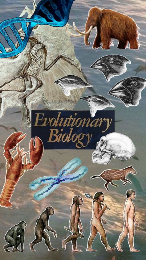 Biology Aesthetic, Evolutionary Biology, Biology, Homework, Quick Saves