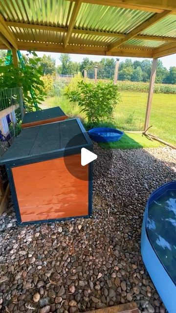 Keeping Ducks Cool In Summer, How To Make A Duck House, Large Duck Coop, Duck Coop Ideas Diy Cheap, Duck And Chicken Coop Together Ideas, Duck Area In Backyard, Duck Coop Accessories, Pet Duck Enclosure, Duck Coop Flooring Ideas