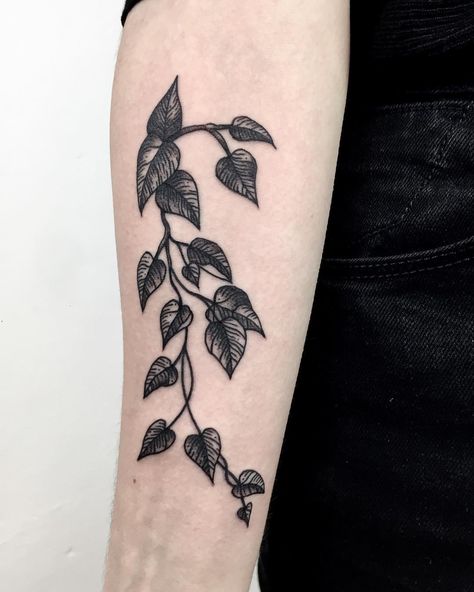 Pothos Vine Tattoo, Pathos Tattoo, Vine Tattoo Arm, Shoulder Piece Tattoo, Black And White Flower Tattoo, Plant Tattoos, Pothos Vine, Black Line Tattoo, Vine Tattoo