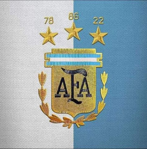 Argentina Logo, Argentina Wallpaper, Messi Funny, Fc Barcelona Wallpapers, Argentina Football, World Cup Champions, Rick Astley, Leonel Messi, Messi Argentina