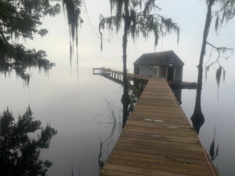 Deep South Aesthetic, Swamp Cottage, Swamp Town, Swamp Aesthetic, Florida Gothic, Swamp House, Louisiana Swamp, Cypress Swamp, Creole Cottage