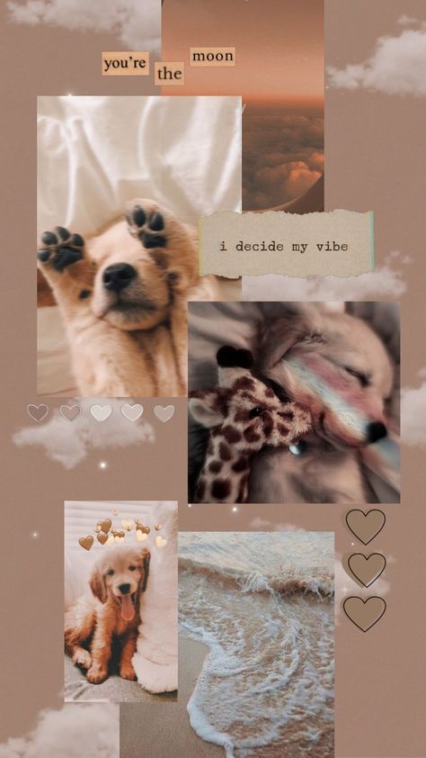 Dog Aesthetic Wallpaper Iphone, Puppy Wallpaper Aesthetic, Wallpaper Iphone Dog, Dog Lockscreen, Dog Wallpaper Iphone, Dog Wallpapers, Cute Puppy Wallpaper, Cute Dog Wallpaper, Puppy Wallpaper