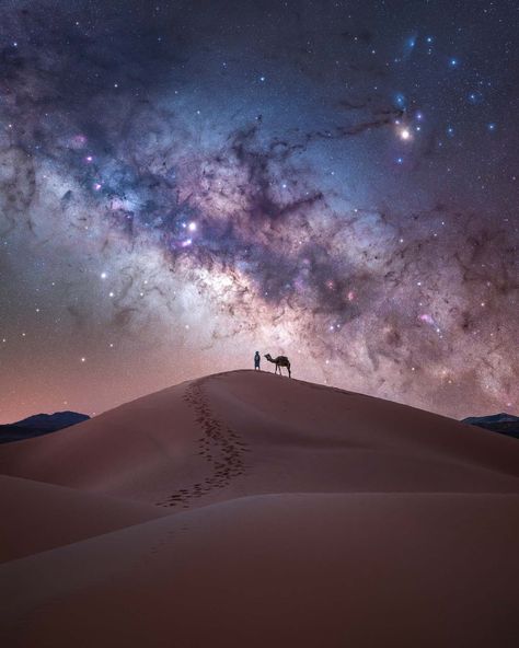 Milky Way Pictures, Milky Way Photos, Milky Way Photography, Best Travel Insurance, Photography Location, Desert Travel, Sky Full Of Stars, Sky Full, Milky Way Galaxy