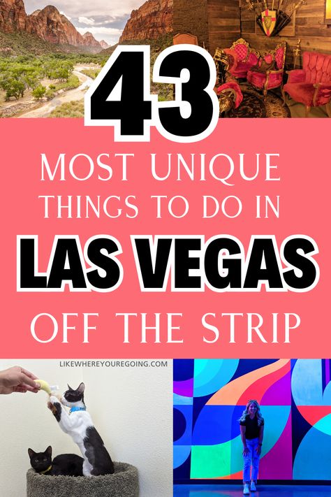 43 Unique Things to Do Off the Strip in Vegas (non-touristy hidden gems) North Las Vegas Things To Do In, Cool Things To Do In Las Vegas, Things To Do In Vegas Besides Gamble, Las Vegas Off The Strip, Things To Do Near Las Vegas, Must Do In Vegas, Las Vegas Hidden Gems, Things To Do In Las Vegas, Las Vegas Family Vacation