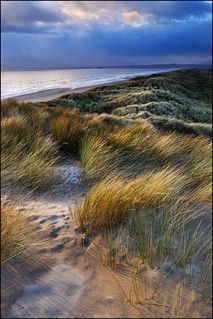 Harlech Dunes. | There is a fabulous dune system backing Har… | Flickr Arthur Schopenhauer, Snowdonia National Park, Blowing In The Wind, Snowdonia, Storm Clouds, Sand Dunes, The Grass, Beach Scenes, Ocean Beach