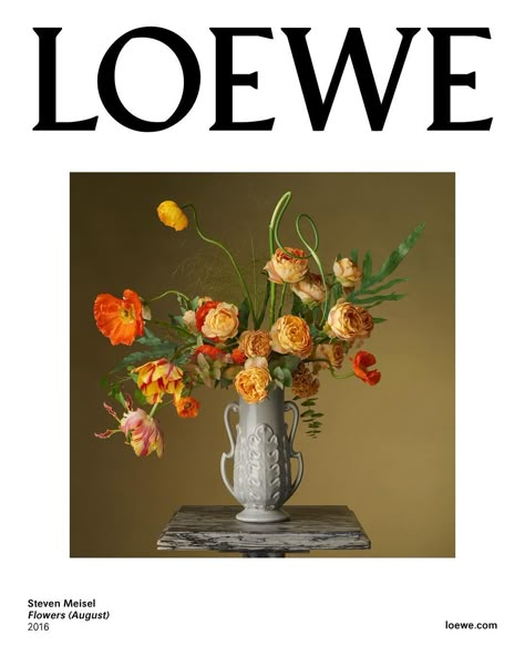 Med-res. Steven Meisel for Loewe - Flowers (August), 2016 Loewe Campaign, Saul Leiter, Campaign Photography, Tim Walker, Steven Meisel, Fashion Advertising, Fashion Logo, Magazine Design, Graphic Design Inspiration