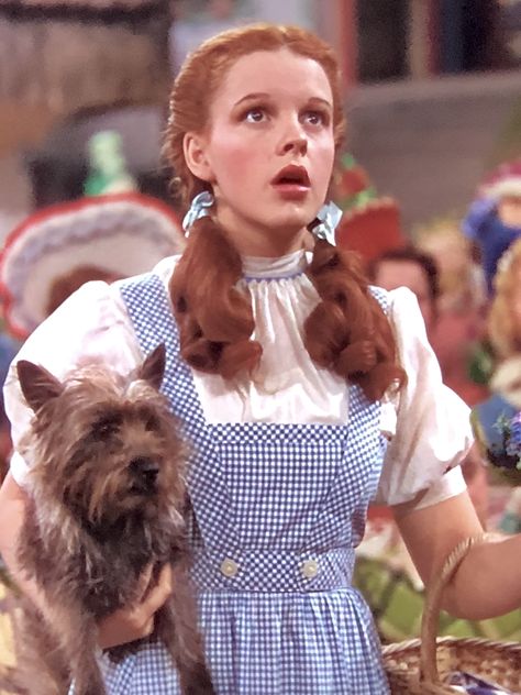 Dorthy Wizard Of Oz Hairstyle, The Wizard Of Oz Dorothy, Dorothy Wizard Of Oz Aesthetic, Dorothy Costume Aesthetic, Dorothy Makeup Wizard Of Oz, Dorthy Wizard Of Oz Aesthetic, Dorothy Gale Costume, Dorothy Cosplay, Wizard Of Oz Wizard