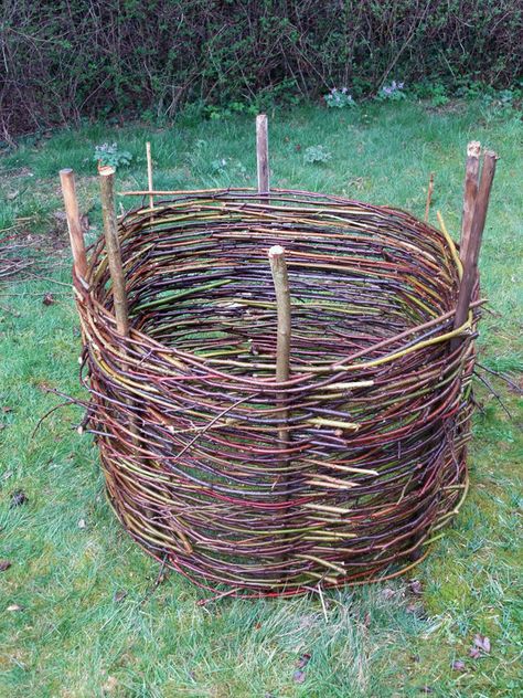 woven raised bed Rustic Trellis, Compost Bin Diy, Honeysuckle Vine, Diy Compost, Elevated Bed, Raised Garden Beds Diy, Plant Supports, Backyard Projects, Garden Trellis