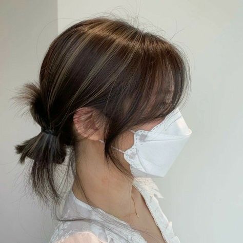 Aesthetic Hair Highlights Korean, Korean Hairstyle Highlights, Hair Colour Inspo For Black Hair, Korean Hair Highlights, Korean Hair Color, Hair Color Streaks, Hair Streaks, Hairstyles For Layered Hair, A Ponytail