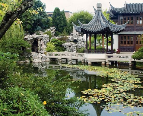 An authentic Ming Dynasty style garden built by Suzhou artisans, the Lan Su… Chinese Garden Design, Portland Japanese Garden, Portland Travel, Asian Garden, Washington Park, Chinese Landscape, Chinese Garden, Garden Pond, Oregon Travel