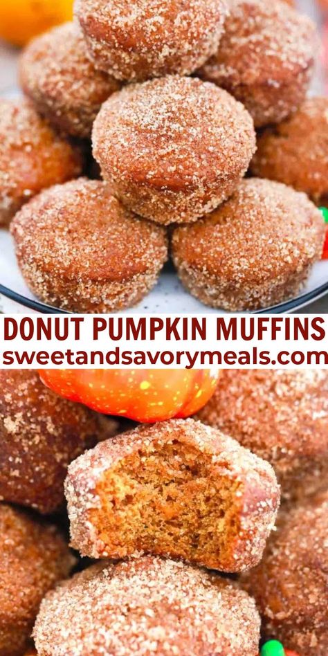 Donut Pumpkin Muffins are light and fluffy with the delicious flavors of pumpkin, warm fall spices, and a sweet cinnamon sugar coating. Pumpkin Doughnut Muffins, Best Fall Muffins, Pumpkin Cinnamon Muffins, Can Pumpkin Recipes, Pumpkin Poppers, Donut Pumpkin, Pumpkin Donut Muffins, Savory Baked Goods, Fall Breakfast Ideas