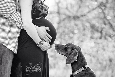 Beautiful maternity photo with the family dog Spokane photographer Crystal Madsen Photography www.CrystalMadsen.com Maternity Photography Tips, Baby Bump Pictures, Bump Pictures, Outdoor Maternity Photos, Maternity Photography Poses Pregnancy Pics, Maternity Photography Outdoors, Baby Bump Photos, Baby Fotografie, Maternity Photoshoot Poses