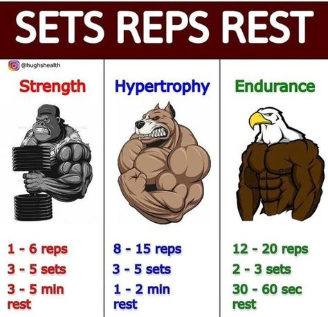 Workout Gym Routine, Gym Workout Guide, Speed Workout, Work Out Routines Gym, Gym Workout Planner, Full Body Workout Routine, Bodybuilding Workout Plan, Gym Workout Chart, Workout Routine For Men